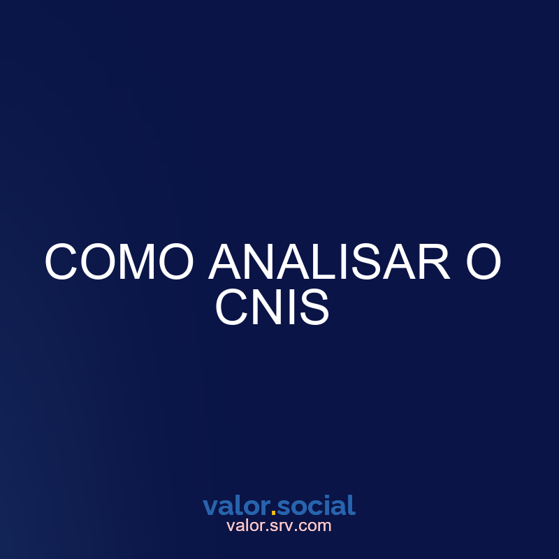 Como analisar o CNIS